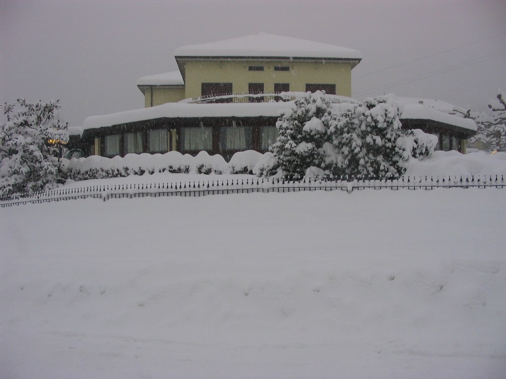 Rotonda