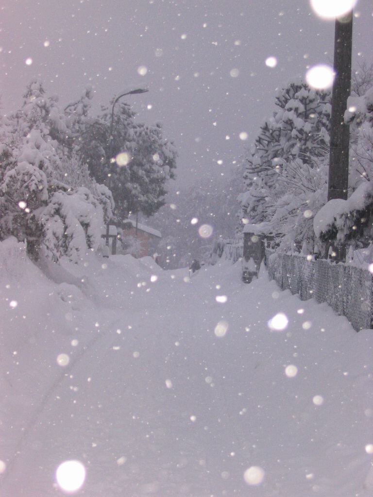 Viale 2