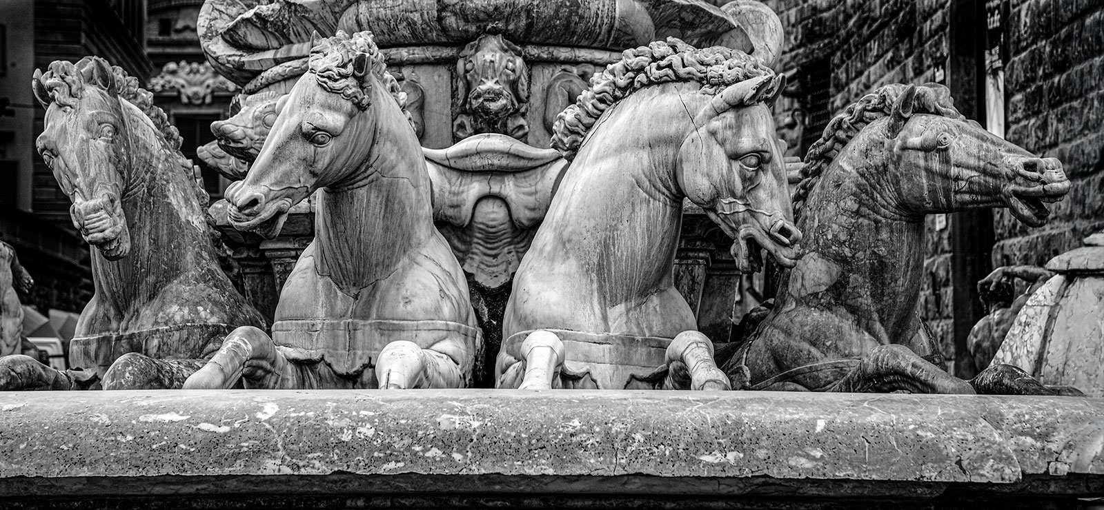 I cavalli di Firenze