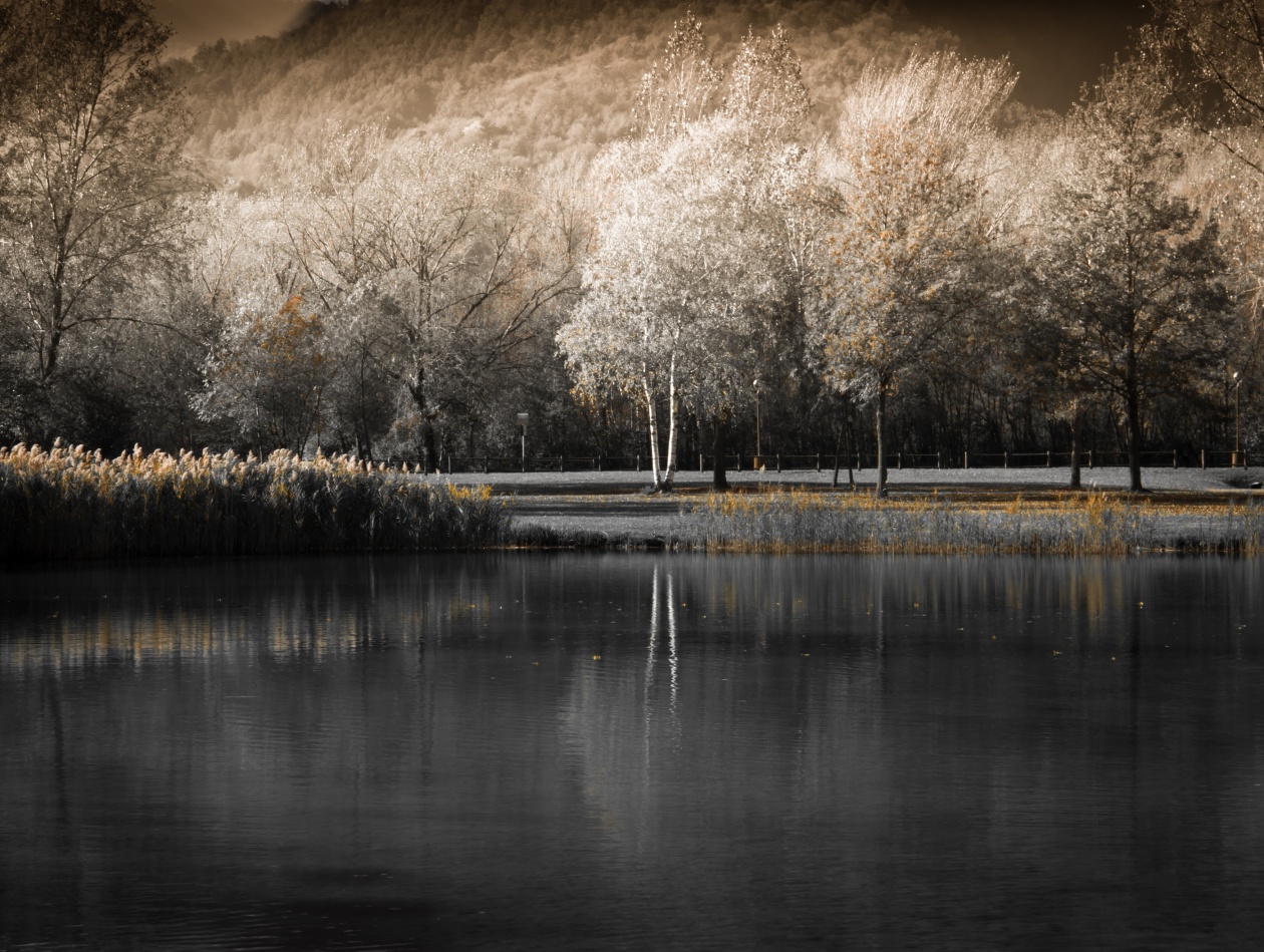 frammento_2