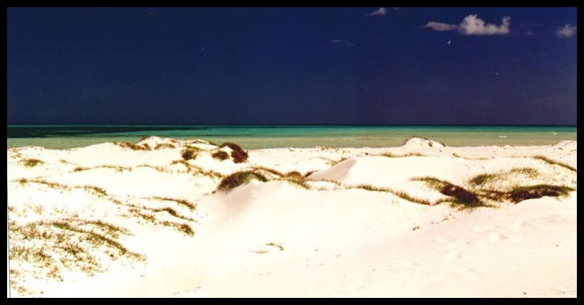 spiaggia bianca