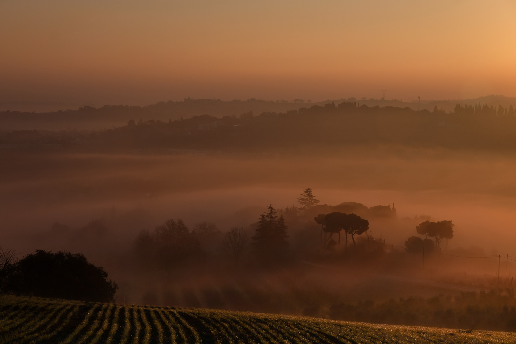la nebbia di mattina