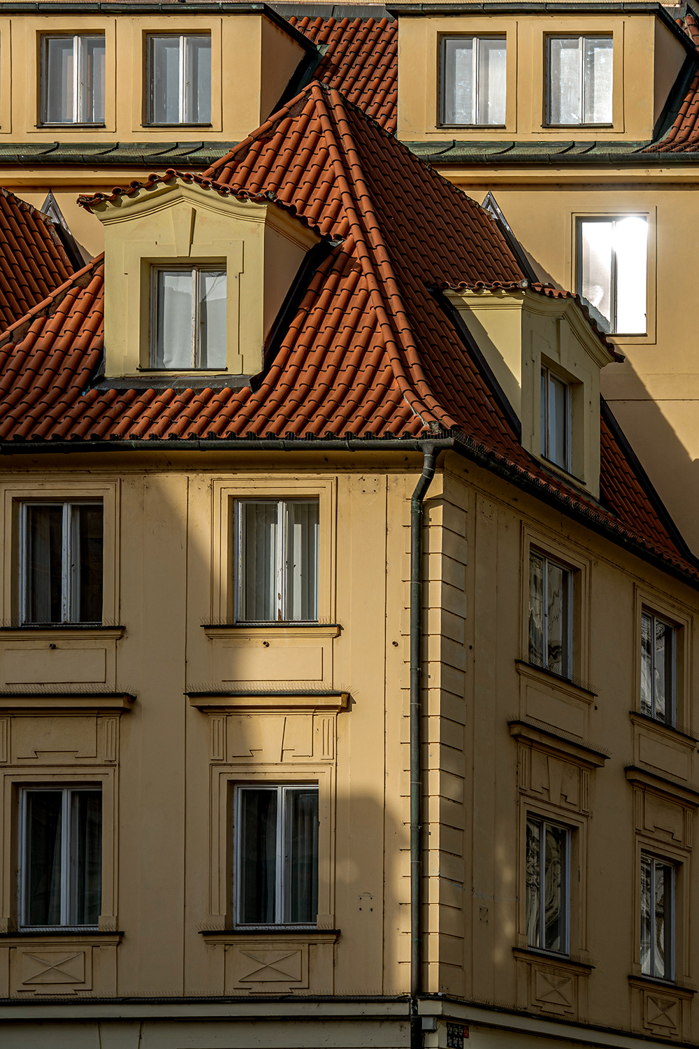 urban #244