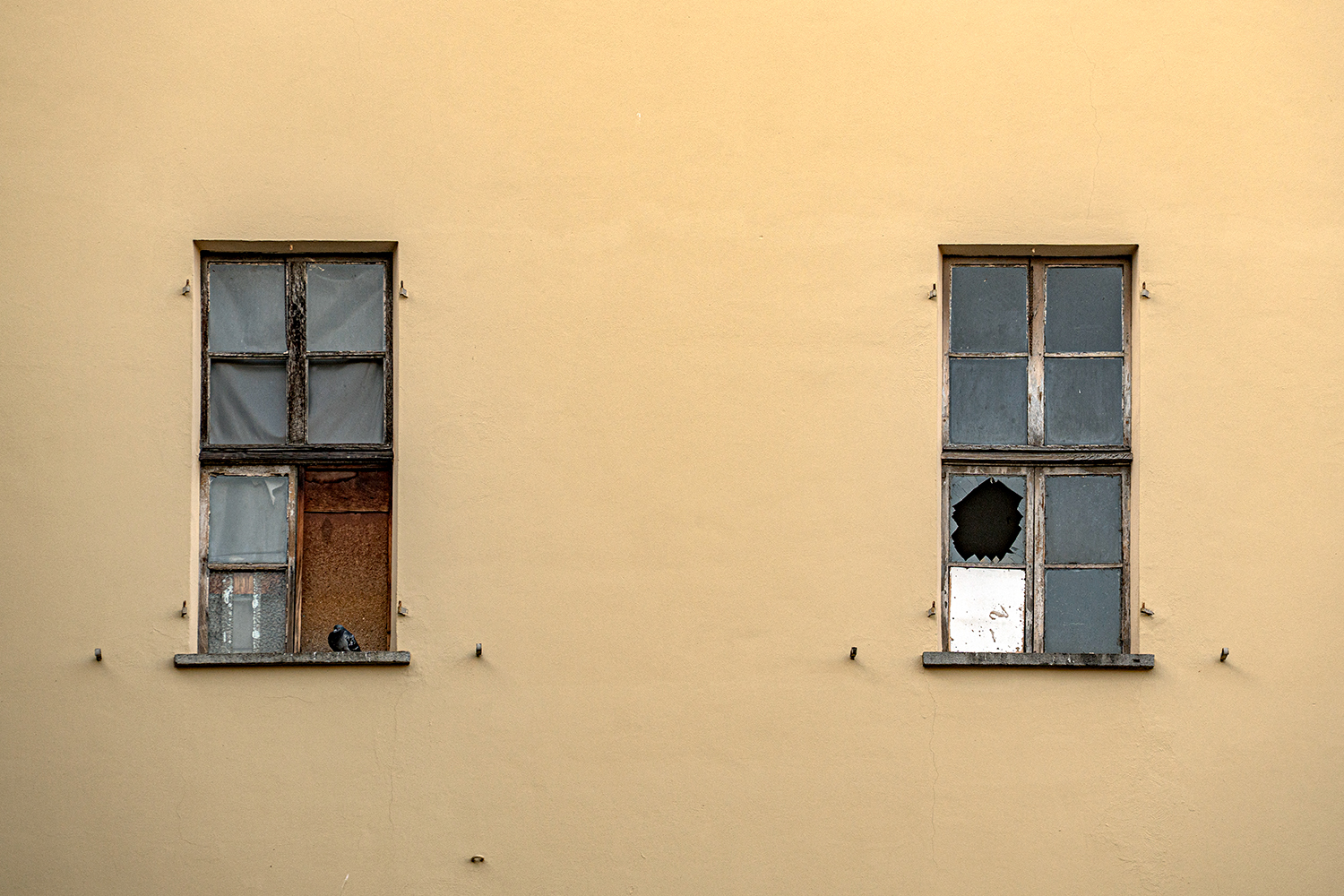urban #226