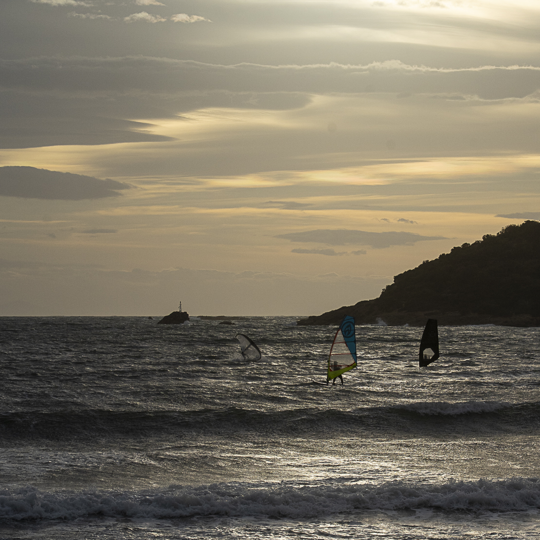 Windsurfers
