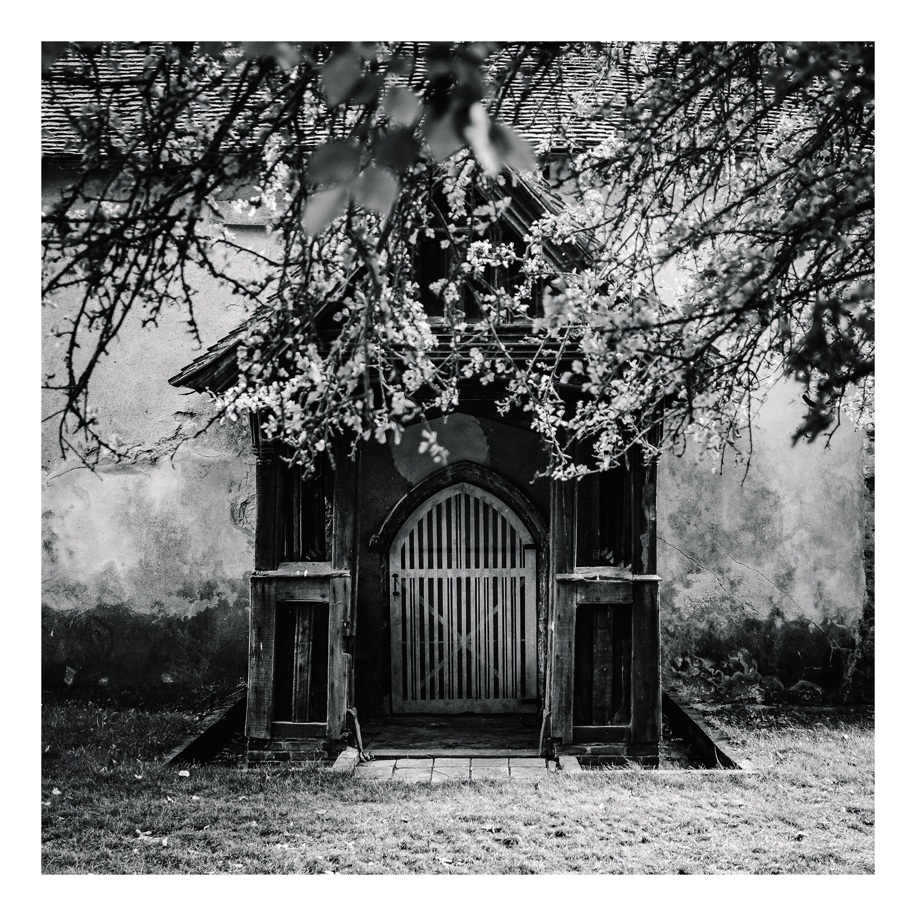 Holy Doors #9