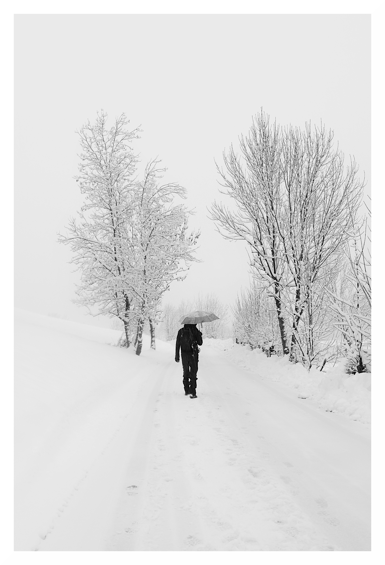 autoscatto invernale