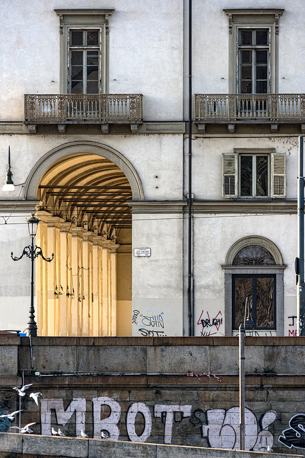 urban #239