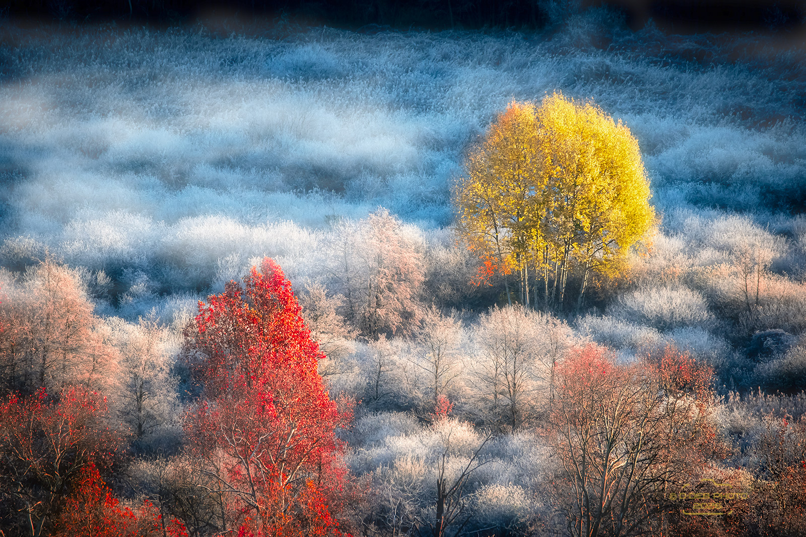 Painted by light
