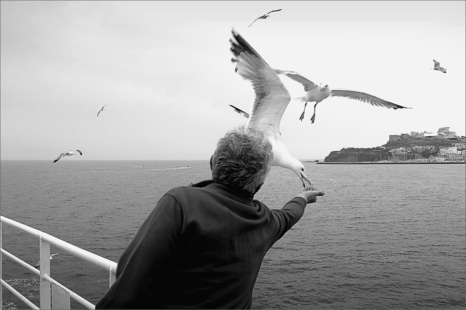 Procida