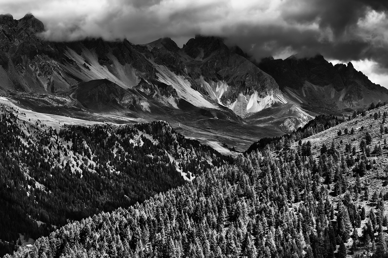Pale of San Martino V