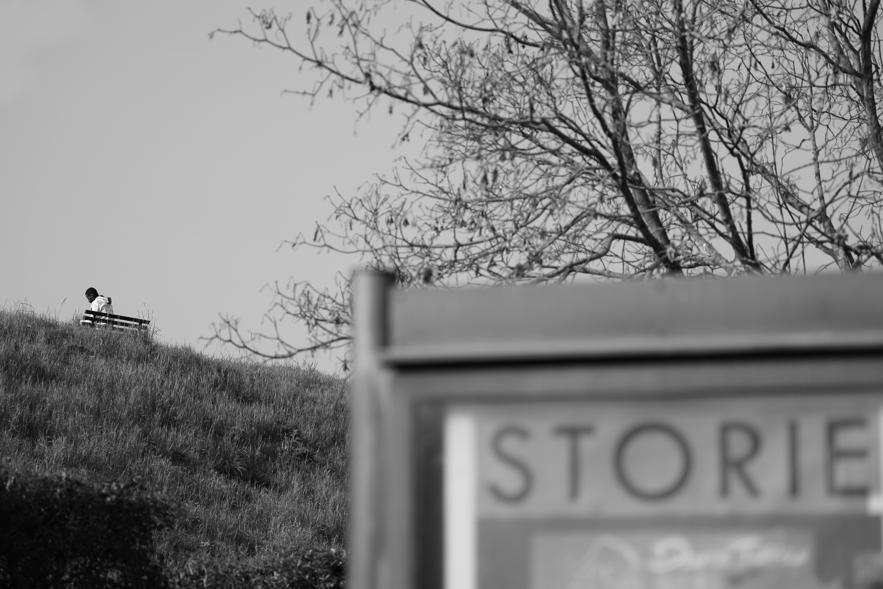 STORIE