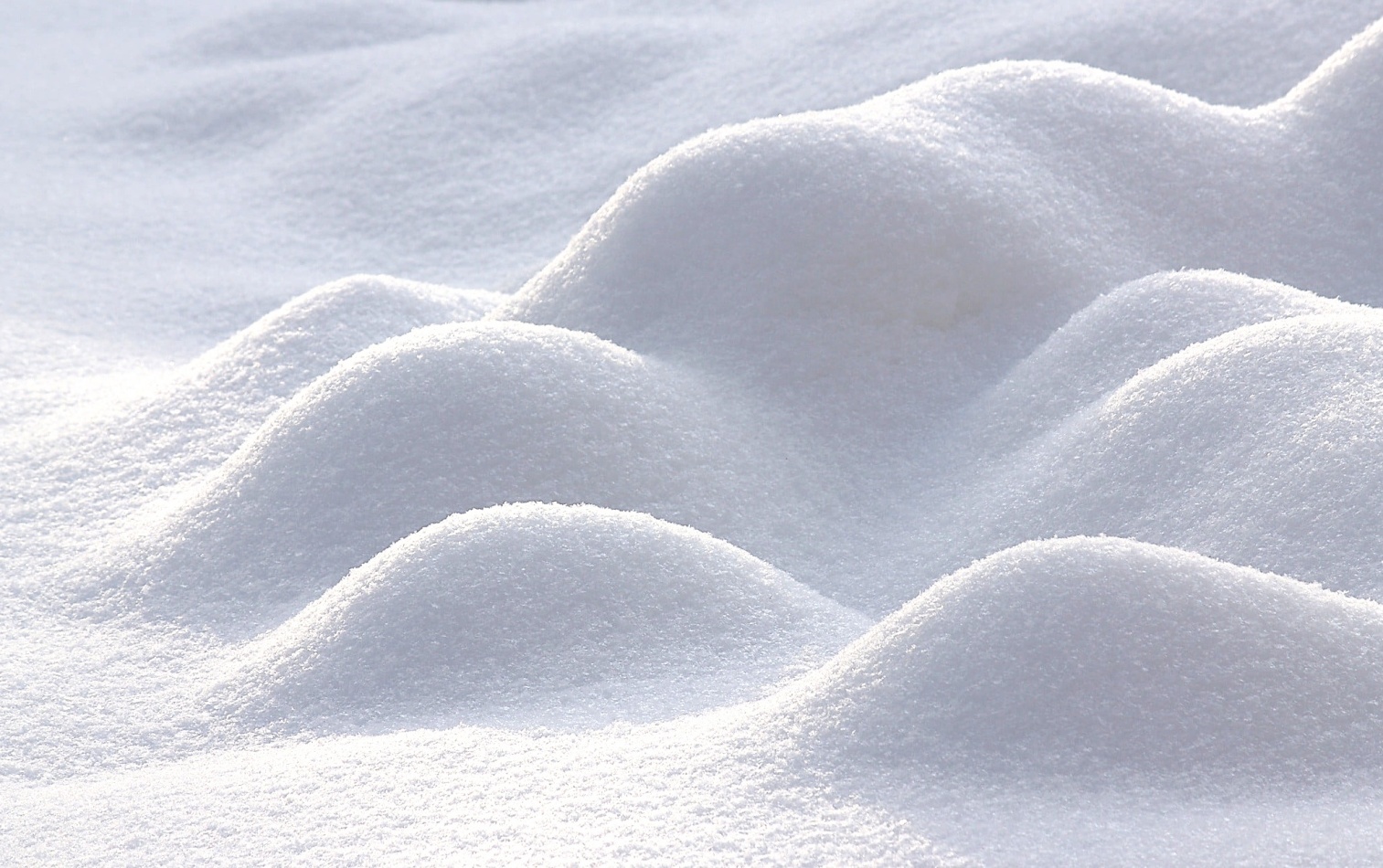 La neve
