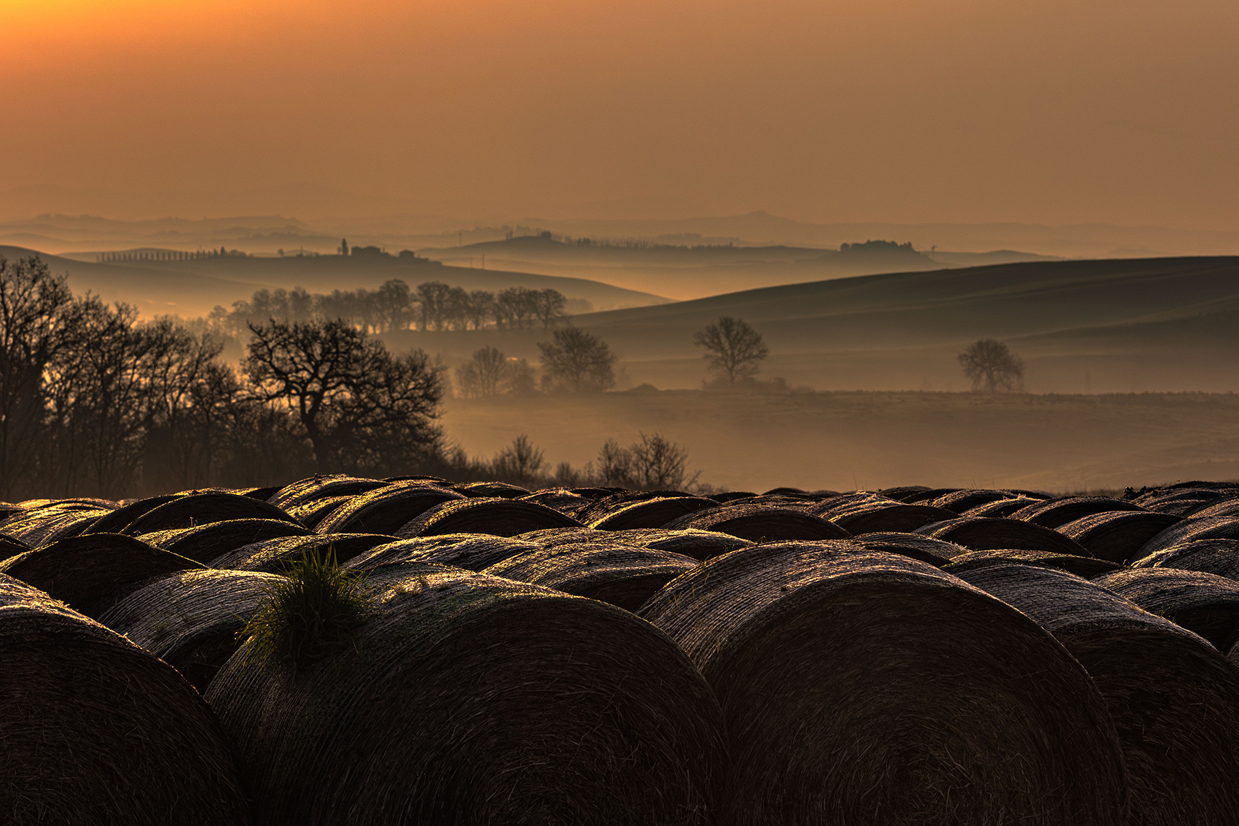 Valdorcia terre Senesi