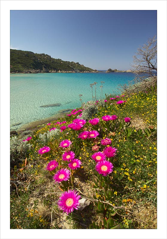Sardegna 04