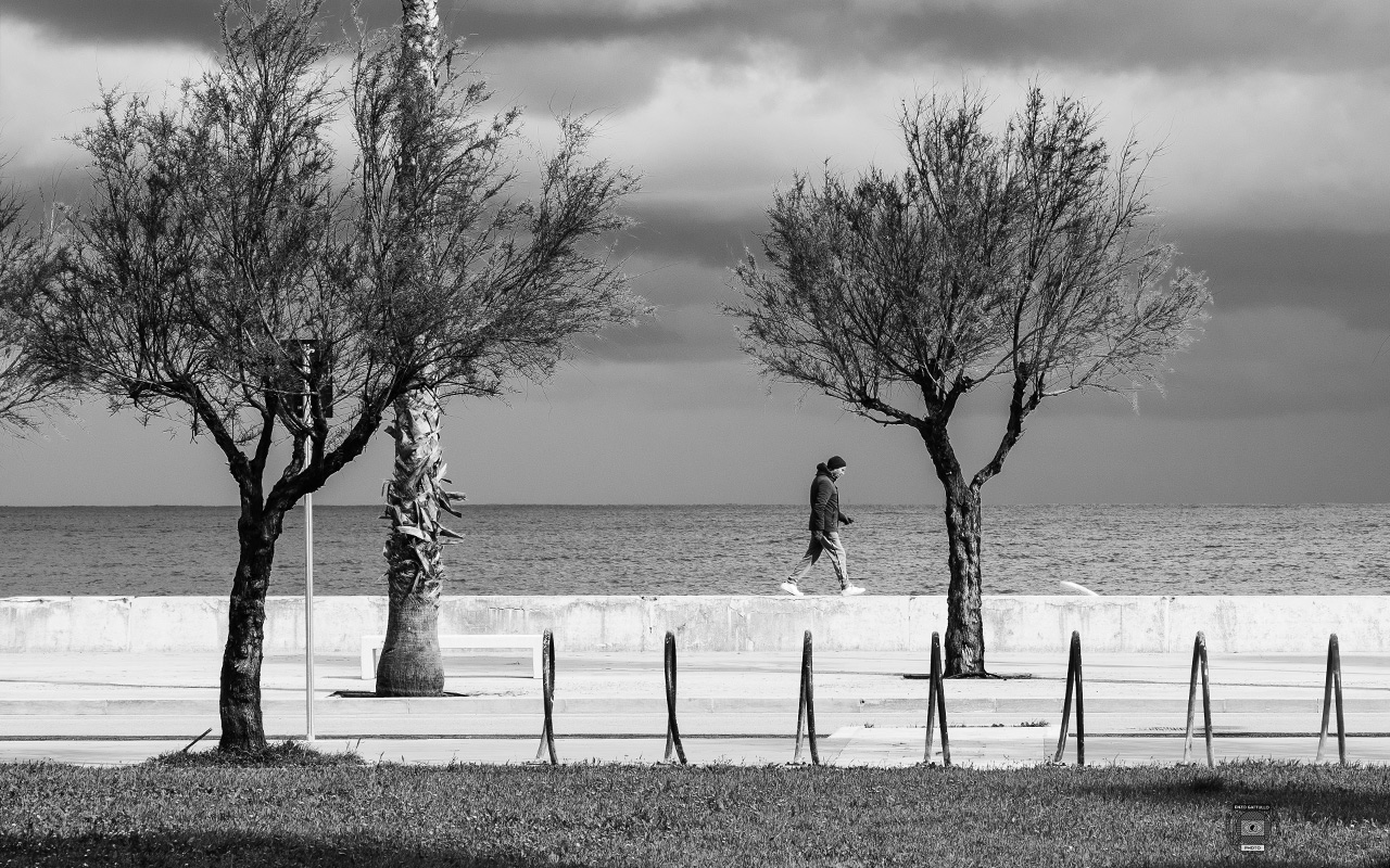 Solitudine di passaggio