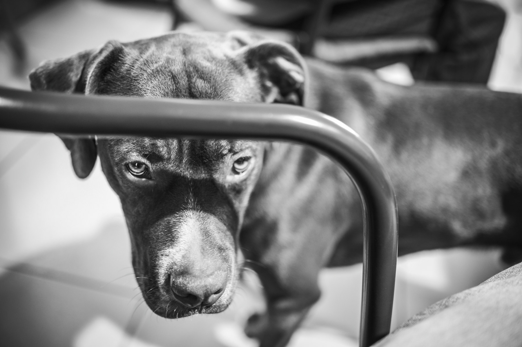 Zeus