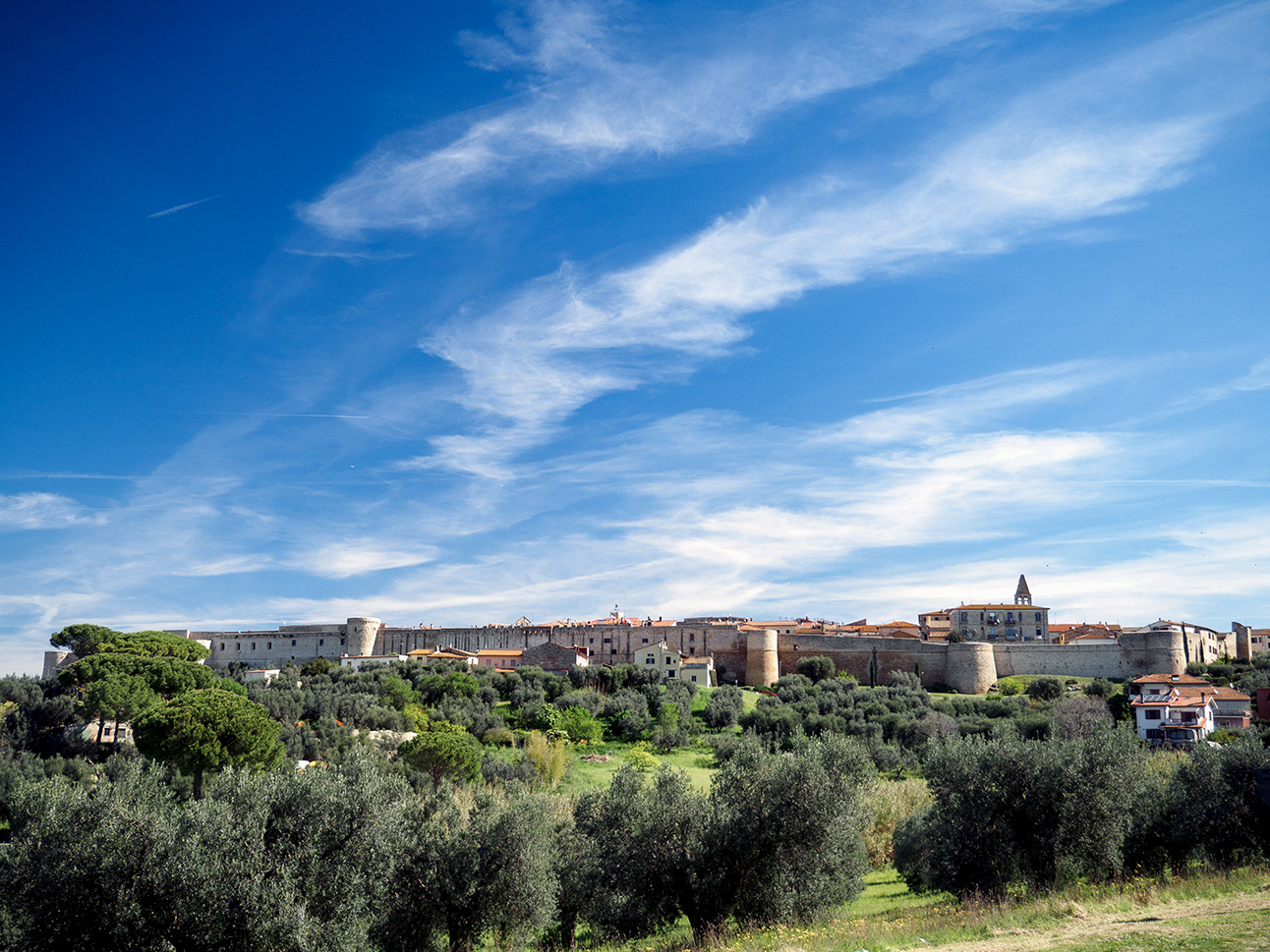 Magliano in Toscana