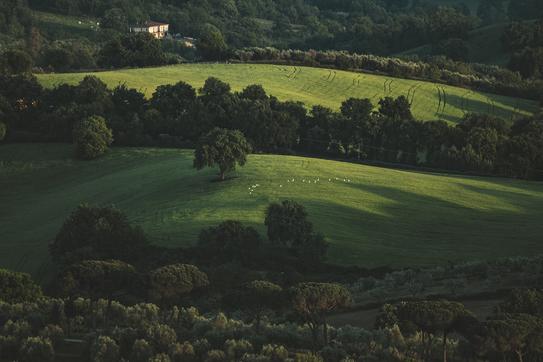 Soratte_RM_Apr2026_1