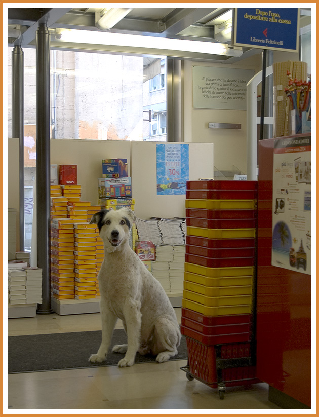 in libreria