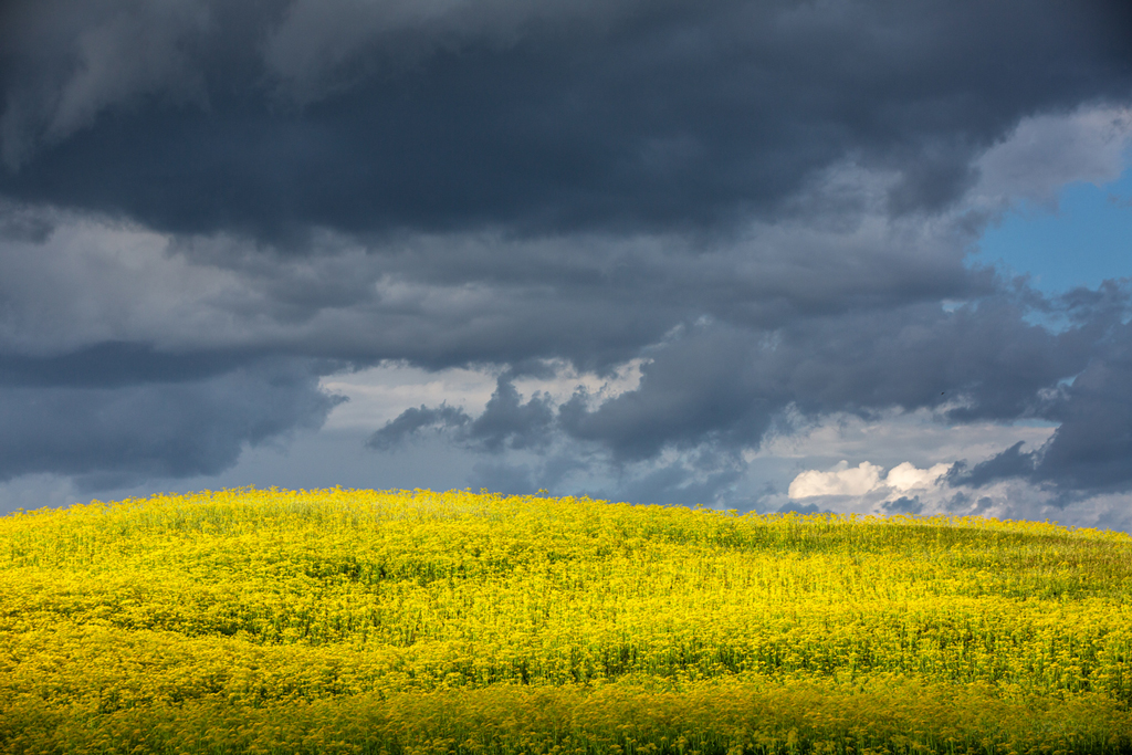 GIALLO&BLU