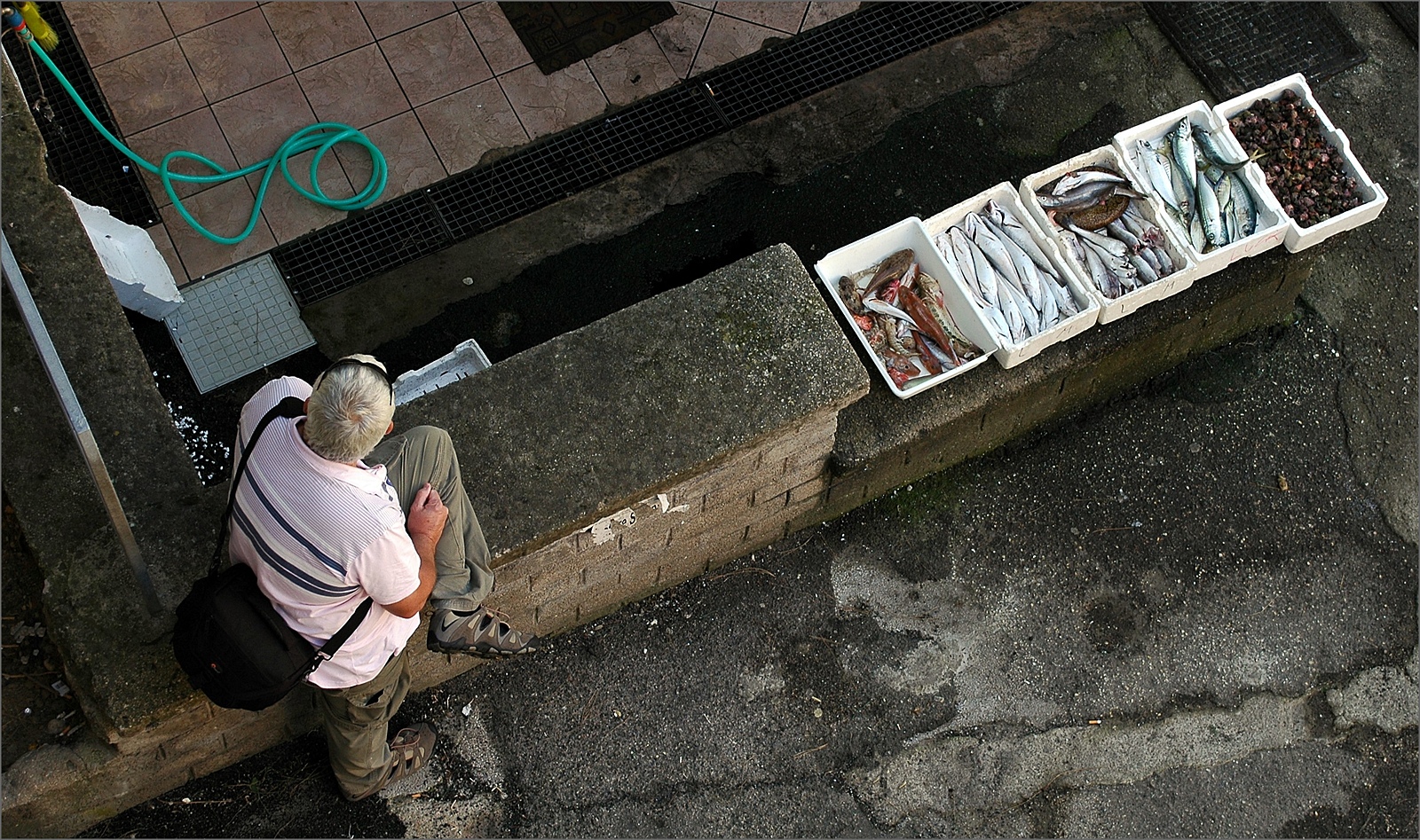 Piccola pesca