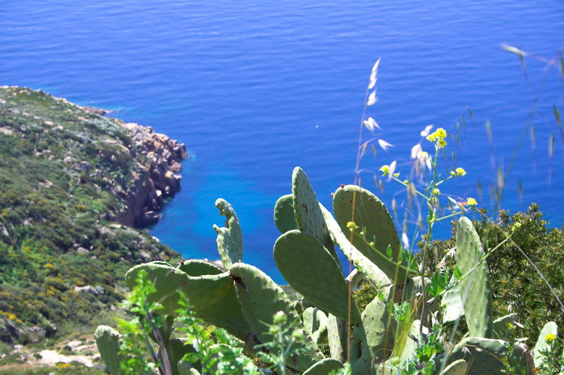 Isola del Giglio 1