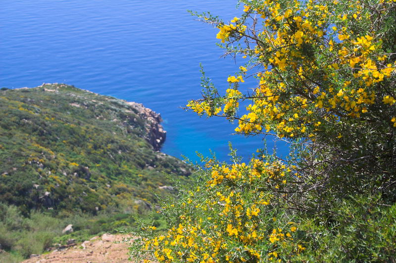 Isola del Giglio 2