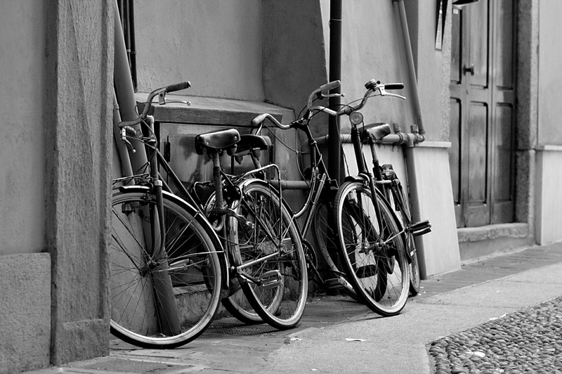 Ferri (bw)
