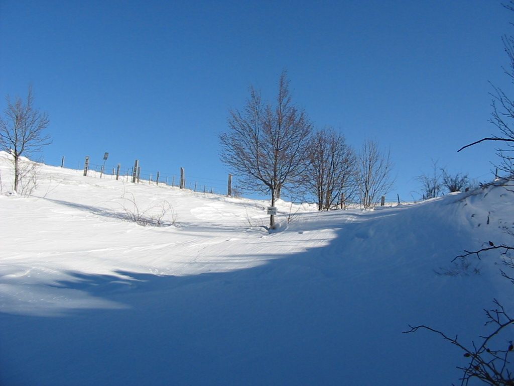 Neve