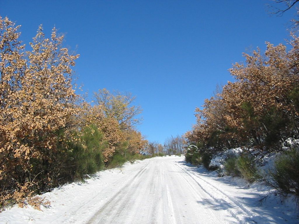 Neve