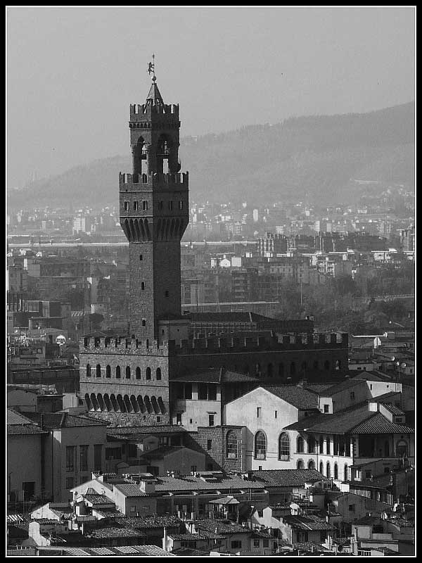 Palazzo Vecchio - Firenze (lato posteriore)