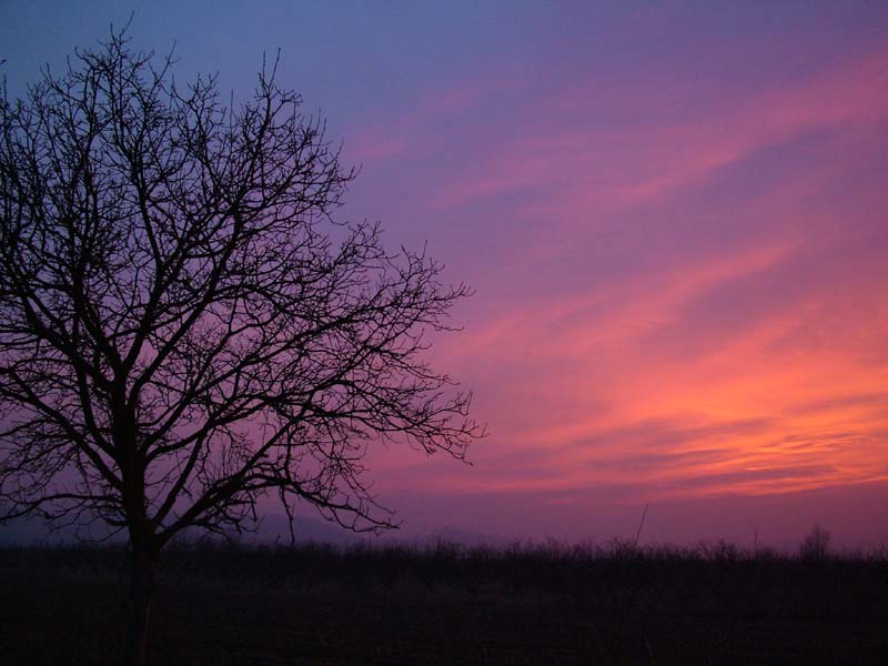Tramonto