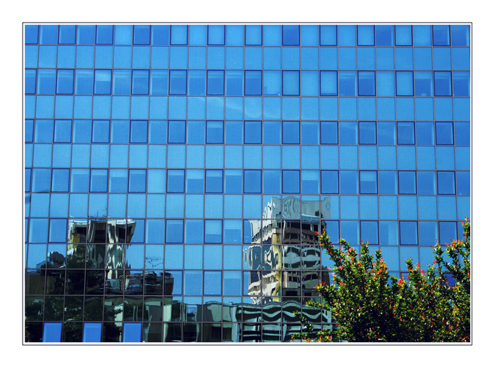 Riflessi
