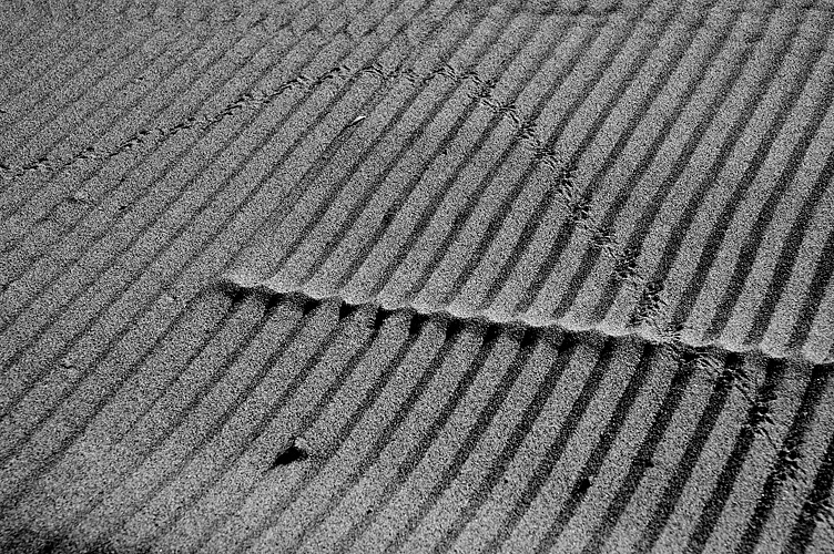 Segni 03