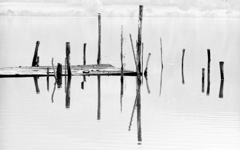 Riflessi a specchio