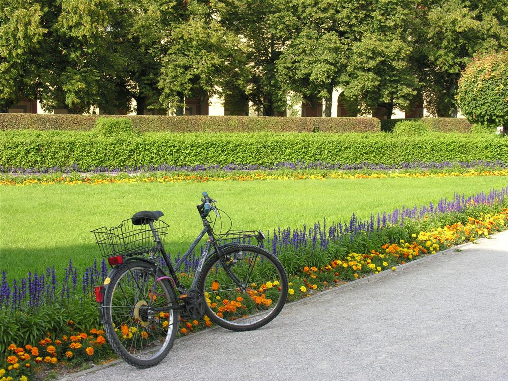 Bici al parco