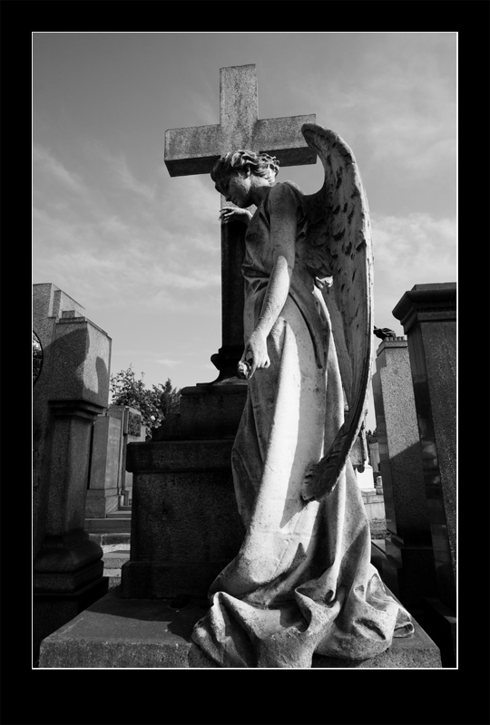 monumentale24.jpg