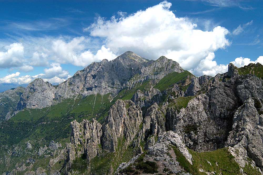 Grigna