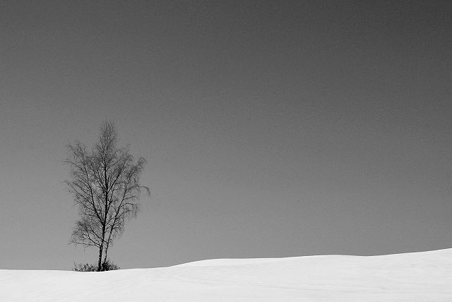 Inverno
