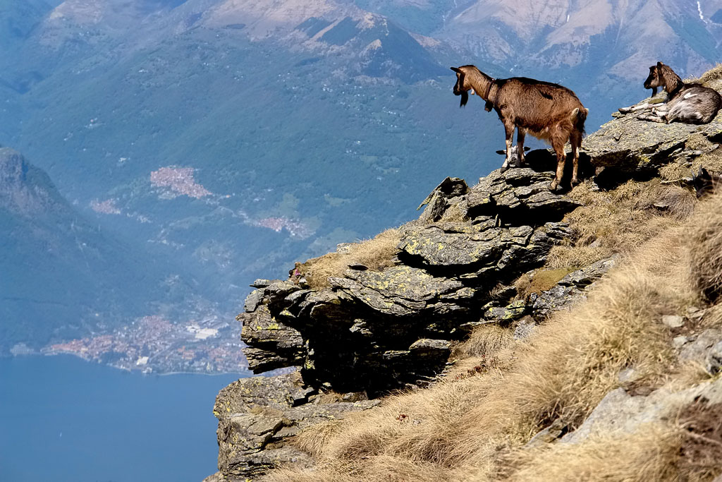 Sul baratro