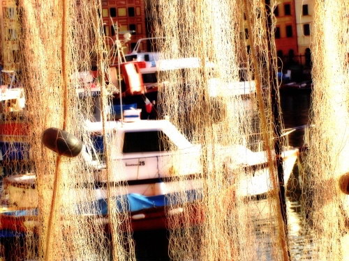 Tra le reti dei pescatori