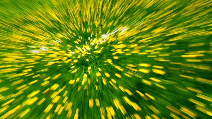 Flower panning2