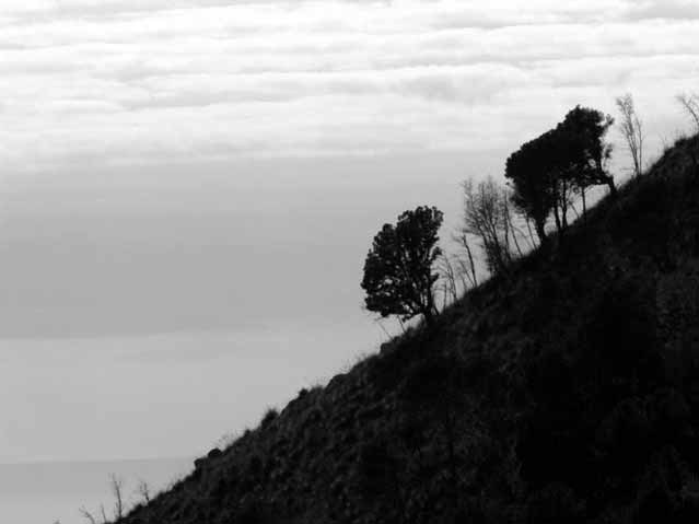 Bianco e Nero