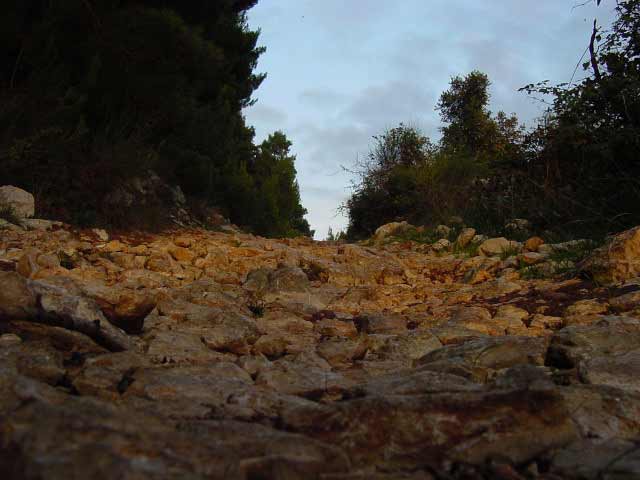 Una strada di montagna
