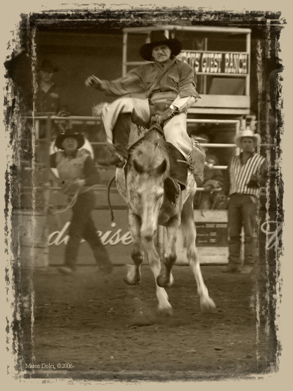 Cowboys guest ranch