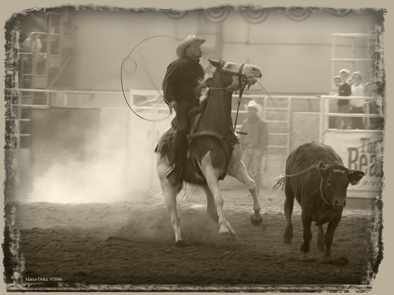 cowboys 4