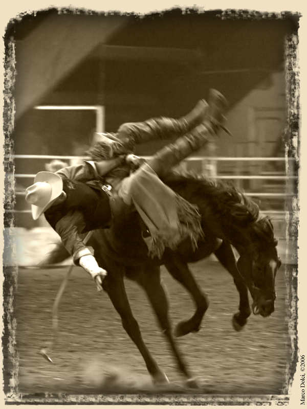 cowboys 9