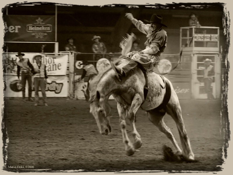 cowboys 11