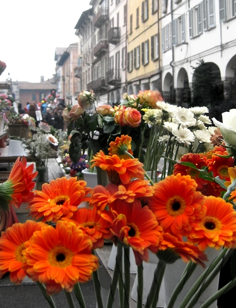 La Piazza